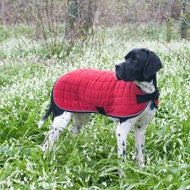 Therma-Dry Winter Dog Coat with Standard Neck