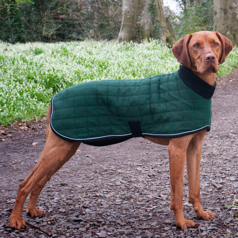 Therma-Dry Winter Dog Coat with Polo Neck