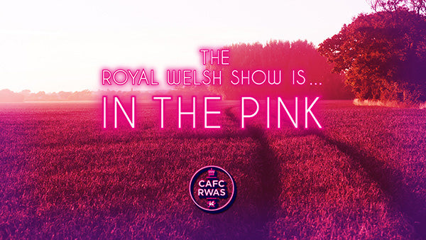 In The Pink! Royal Welsh Official Merchandise 2017
