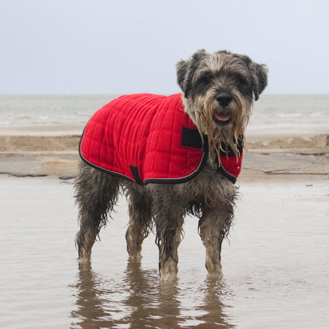 Therma-Dry Winter Dog Coat with Standard Neck